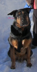 Rox